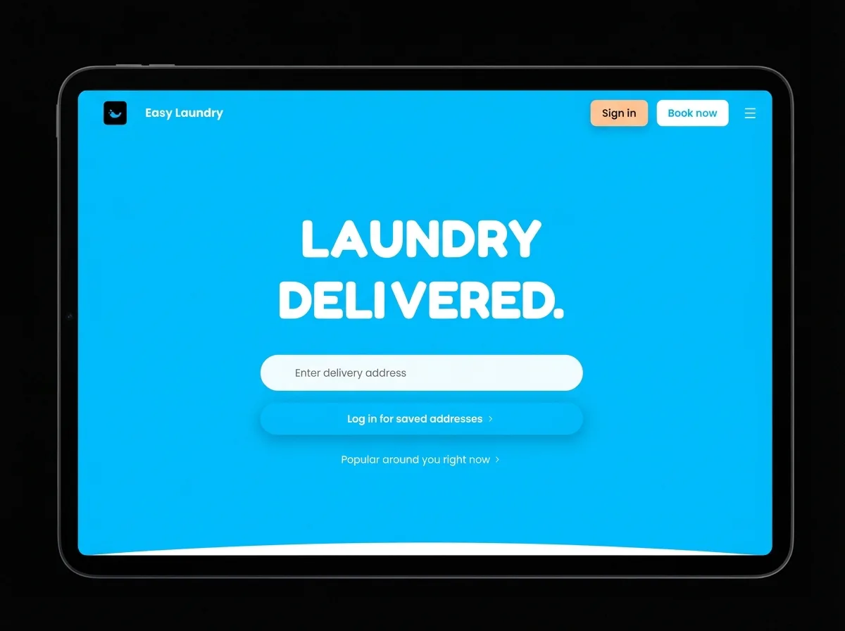 Easy Laundry 2